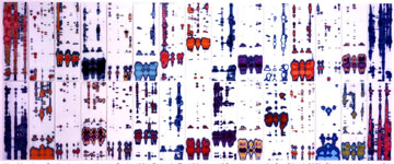‚ÄúPaternity Test‚Äù, Chromogenic prints of DNA analysis, 2000, courtesy High Museum