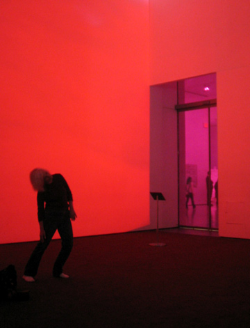 Installation view of Pipilotti Rist’s Pour Your Body Out (7354 Cubic Meters) at The Museum of Modern Art, 2008.