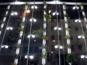 Britta Riley and Rebecca Bray, "Window Farms," 2009. Installed at Eyebeam. Courtesy of the artists.