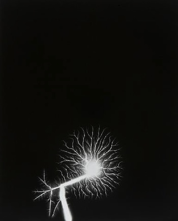 Hiroshi Sugimoto, "Lightning Fields 145", 2009. Gelatin-silver print, 22.9 x 18.4 inches. Courtesy Fraenkal Gallery.