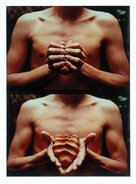 Gabriel Orozco, My Hands are My Heart, 1991.  Photo courtesy the artist and Salt.