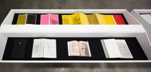 Barbara T. Smith. "Coffin: Install View."  Book titles L-R: "Time Piece, Pink Rose." (Closed), "Coming Out Party," "A Broken Heart," "An Awakening." Xerox print books. 1965-1966. Image courtesy of The Box Gallery.