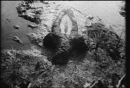 Ana Mendieta. "Birth," 1981. Super-8 black and white, silent film transferred to DVD Running time: 2:03 minutes Edition of 6. copyright of the Estate of Ana Mendieta, Courtesy of Galerie Lelong, New York.