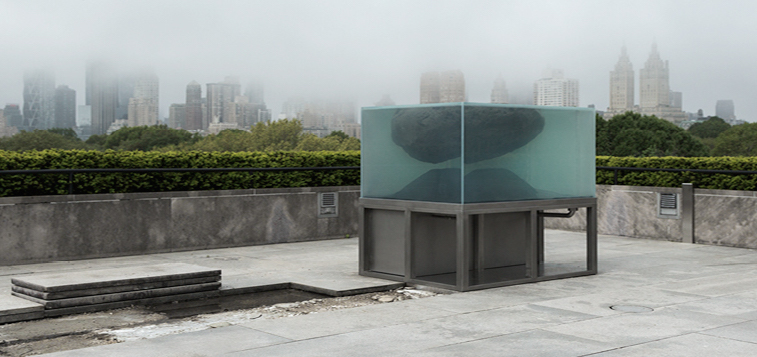 Pierre Huyghe's commission for the Roof Garden. Photo: The Metropolitan Museum of Art