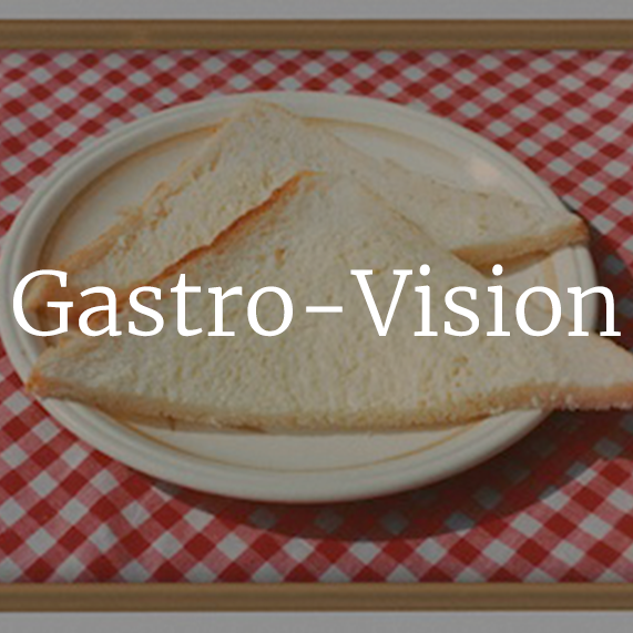 gastro-vision(lighter)-square