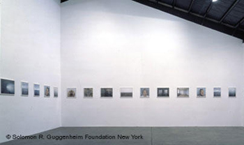 Roni Horn, Pi, 1997‚Äì98, installation shot. Courtesy Solomon Guggenheim Foundation