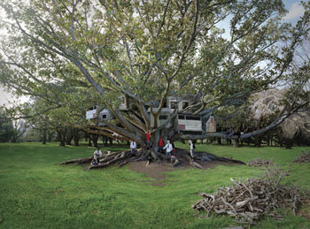 Anthony Goicolea, Tree Dwellers, 2004. COurtesy MASS MOCA.