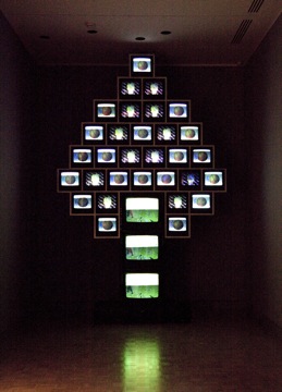Nam June Paik, 'Who's Your Tree,' Installation view, 2009.
