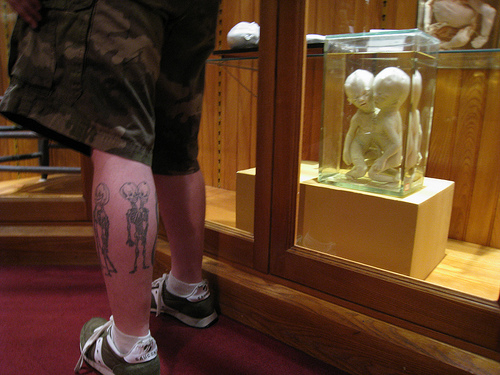 Making friends at the Mütter Museum: this guy's tattoos were based on an artifact in the museum.  Photo courtesy of Rebecca Fuller. 