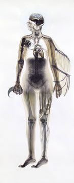 Vesna Jovanovic, "Timekeeper (Self Portrait)," 2007. Medical scans, ink, graphite. Courtesy the Artist.