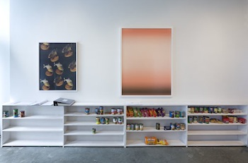 "Don't Perish" Installation. Left: Right: "Dust Cover," 2008. Roe Ethridge. Courtesy Leo Keonig Inc. Projekte.