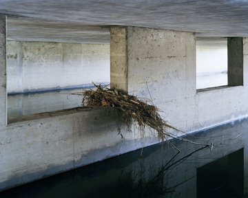 Eirik Johnson, "Untitled 2003 (#2 debris under the bridge)," 2003, from the series "Borderlands"
