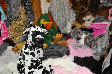 Furries reclining in Marnie Weber's "Furry Womb" at "A Night of Growth and Discovery."  Image via For Your Art.