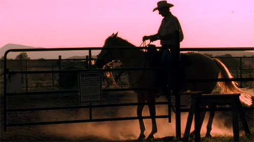 Bruce Nauman riding horseback on his New Mexico ranch in August, 2000. Production still from the series Exclusive. © Art21, Inc. 2013. Cinematography by Bob Elfstrom.