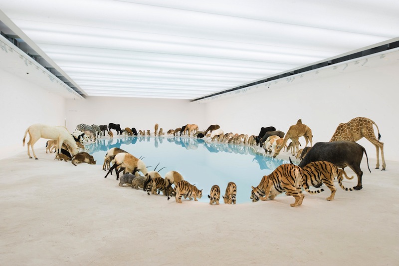 Cai Guo-Qiang, “Heritage (installation view), 2013. Courtesy the artist and the Gallery of Modern Art, Brisbane, Australia.