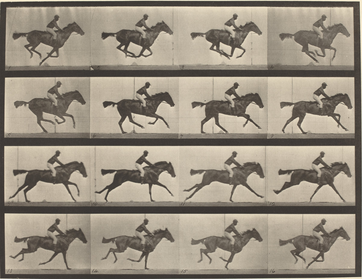Eadweard Muybridge. Horse galloping (Plate 626), Animal Locomotion, 1887. Collotype photograph. Courtesy of National Gallery of Art. Open access image in public domain: (PD-1923).