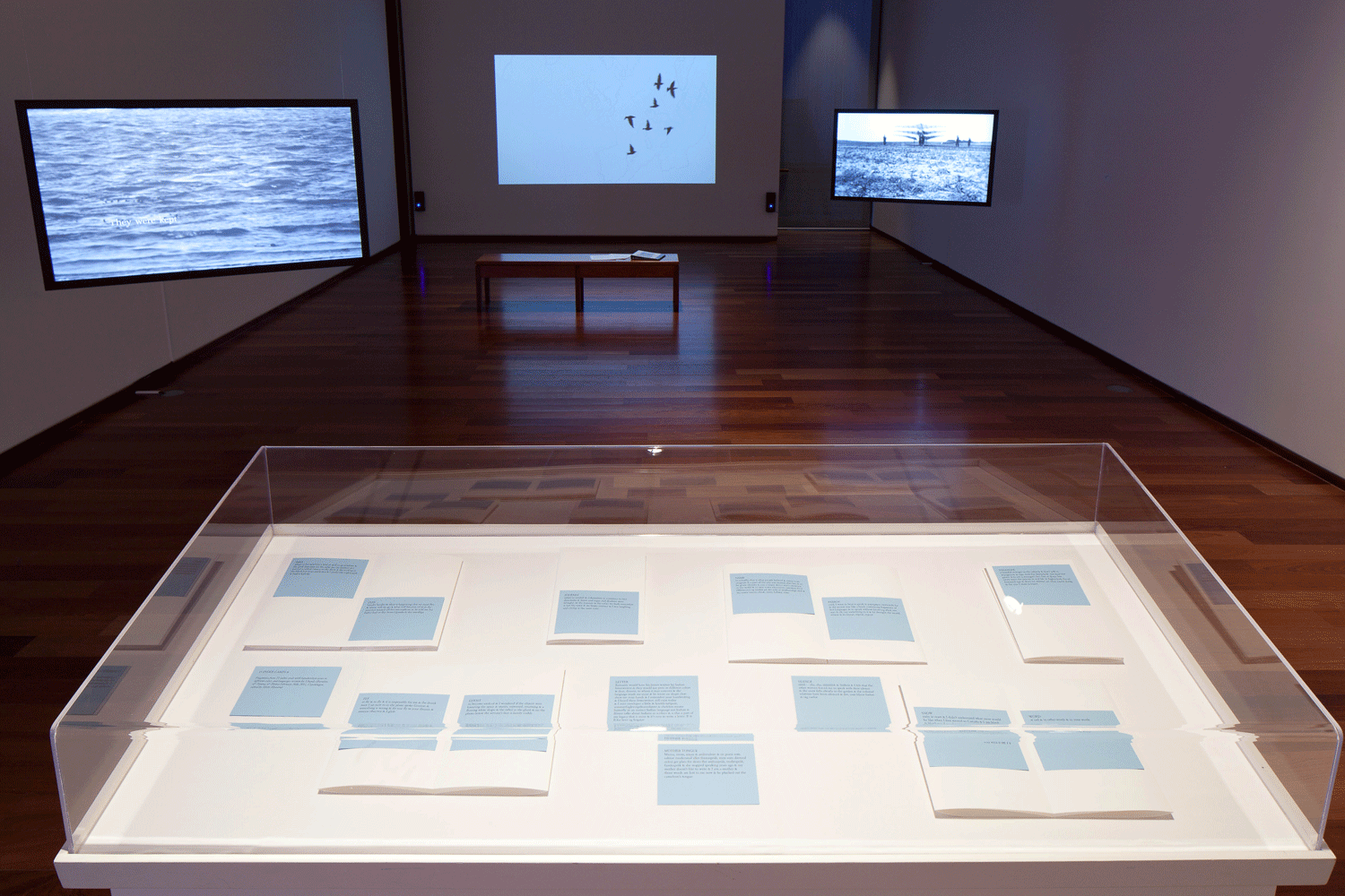 Nanna Debois Buhl and Brendan Fernandes. Installation view, In Your Words, 2014.