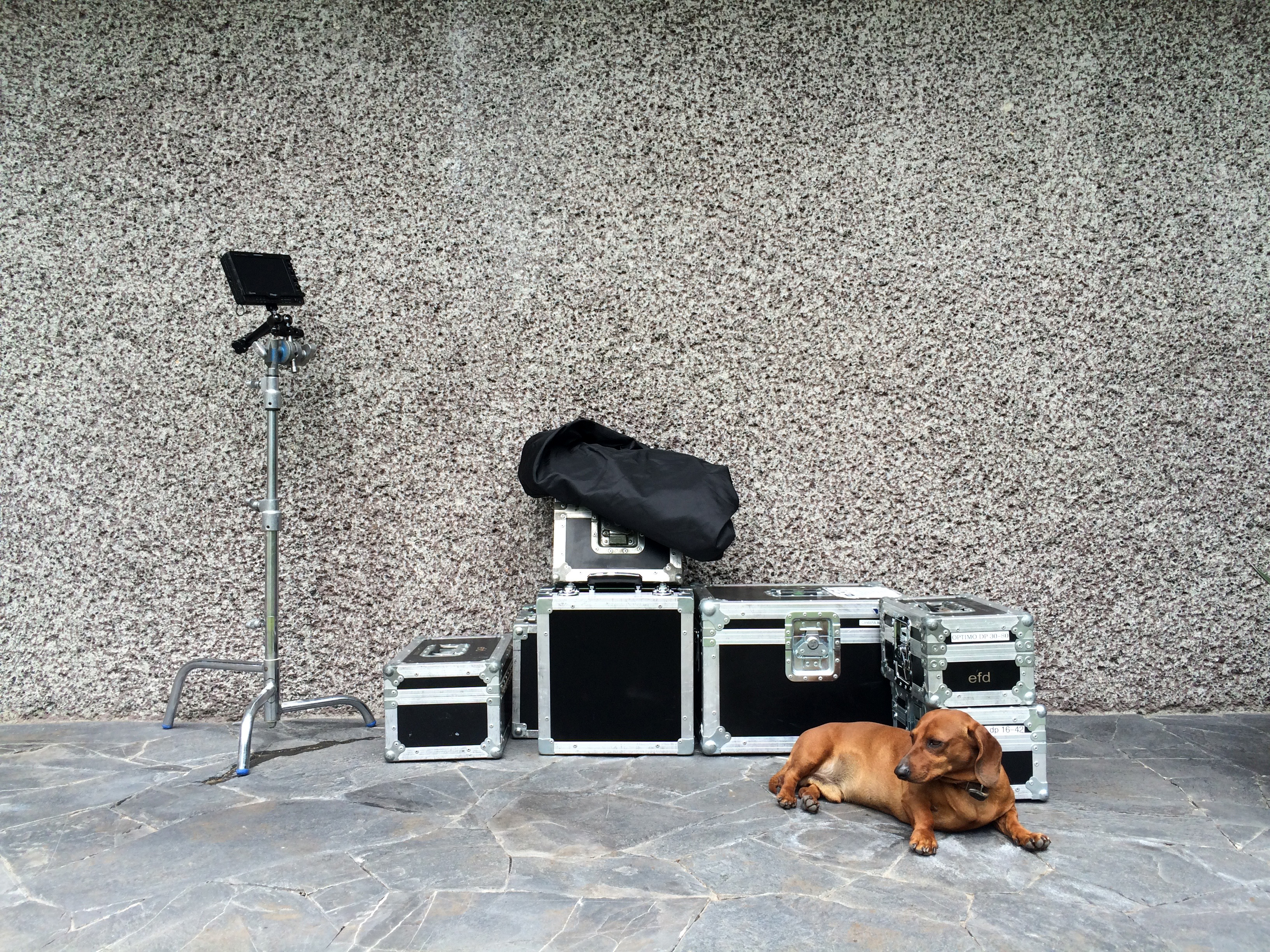 ART21 production gear in Pedro Reyes' home in Mexico City, Mexico, 2016. Behind the scenes of ART21’s series Art in the Twenty-First Century, Season 8, 2016. Photo: Ian Forster. © ART21, Inc. 2016.